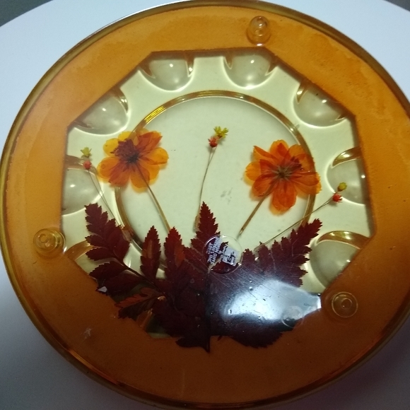 GORGEOUS VTG Acrylic/resin Devill Eggs or Escargot Footed Plate Pressed flowers - Picture 7 of 7